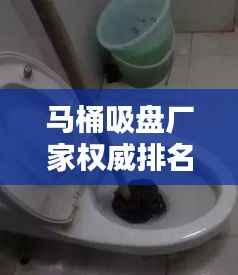 马桶吸盘厂家权威排名TOP10，品质之选一览无余