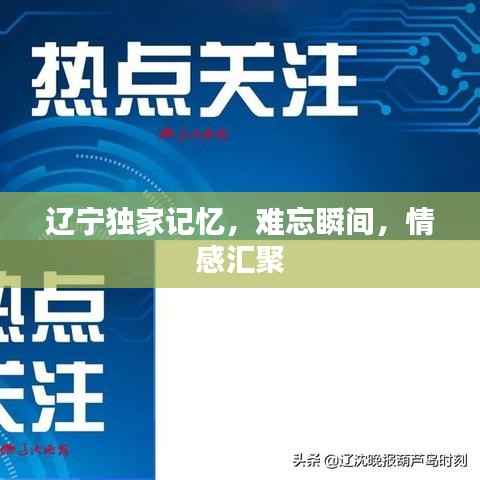 辽宁独家记忆，难忘瞬间，情感汇聚