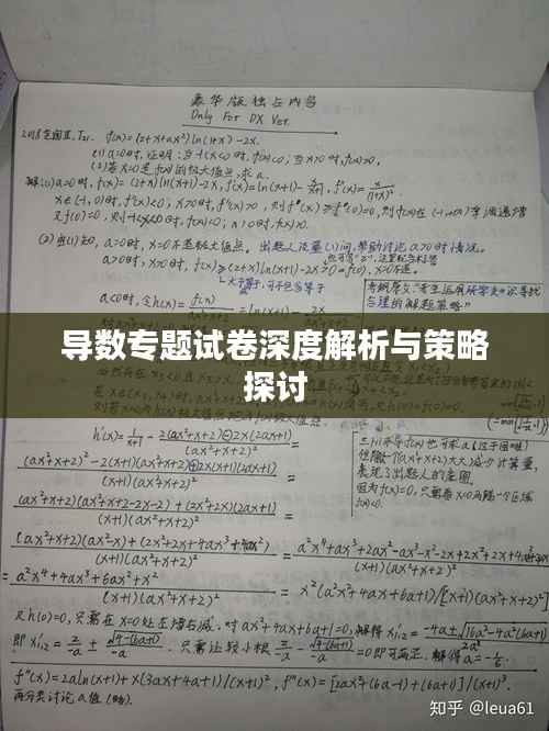 导数专题试卷深度解析与策略探讨