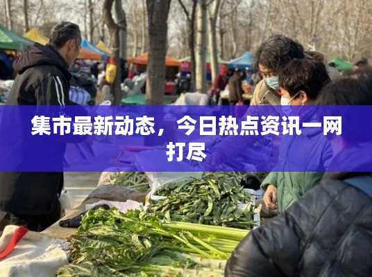 集市最新动态，今日热点资讯一网打尽