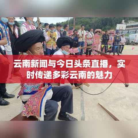 云南新闻与今日头条直播，实时传递多彩云南的魅力