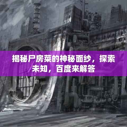 揭秘尸房菜的神秘面纱，探索未知，百度来解答