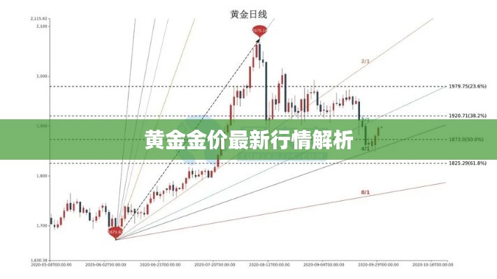 就正有道 第4页