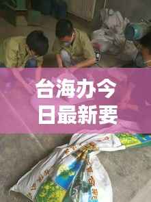 台海办今日最新要闻动态速递