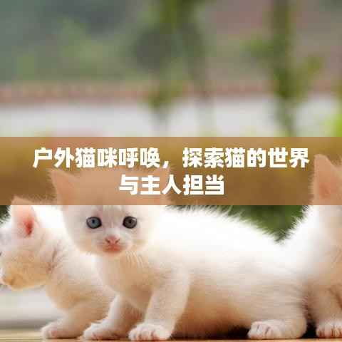 刬旧谋新 第4页