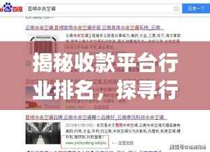 揭秘收款平台行业排名，探寻行业领军者的成功秘诀！