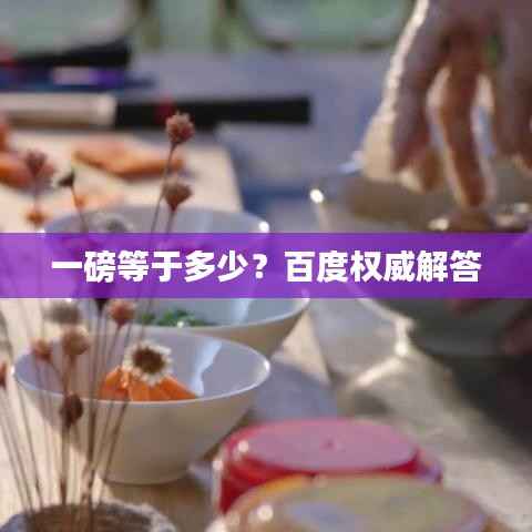 一磅等于多少？百度权威解答