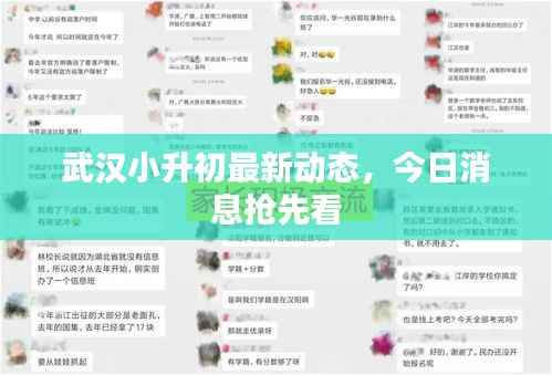 武汉小升初最新动态，今日消息抢先看