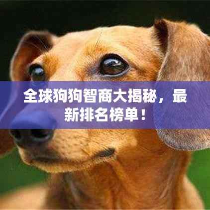 天各一方 第4页