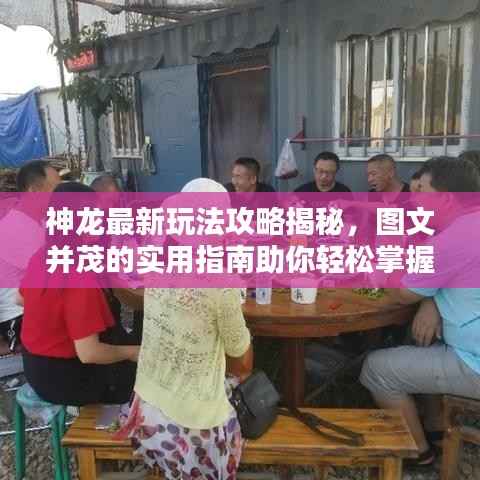 神龙最新玩法攻略揭秘，图文并茂的实用指南助你轻松掌握！