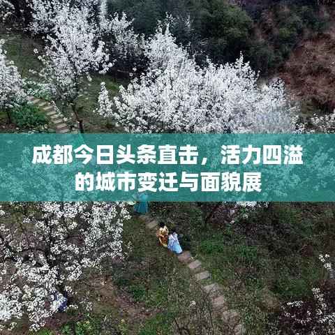 成都今日头条直击，活力四溢的城市变迁与面貌展