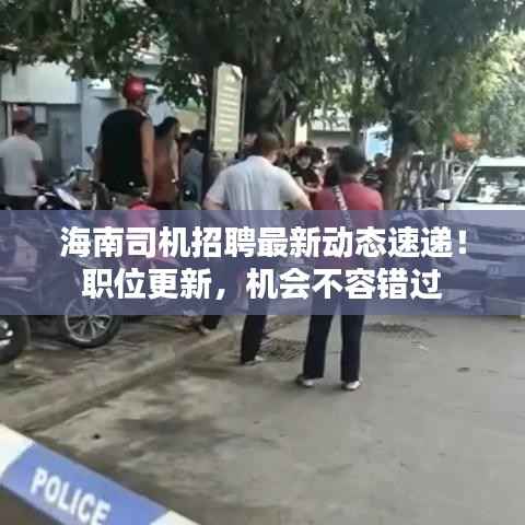 海南司机招聘最新动态速递！职位更新，机会不容错过
