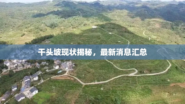干头坡现状揭秘，最新消息汇总