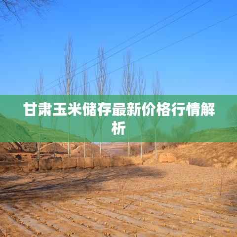 甘肃玉米储存最新价格行情解析