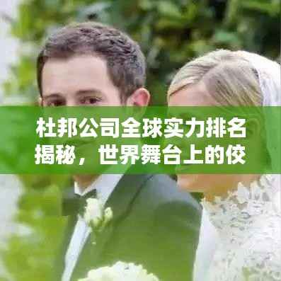 杜邦公司全球实力排名揭秘，世界舞台上的佼佼者