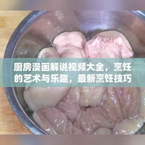 厨房漫画解说视频大全，烹饪的艺术与乐趣，最新烹饪技巧大揭秘！
