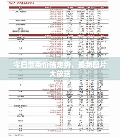 设身处地 第4页