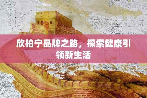 坌鸟先飞 第4页