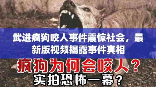 武进疯狗咬人事件震惊社会，最新版视频揭露事件真相