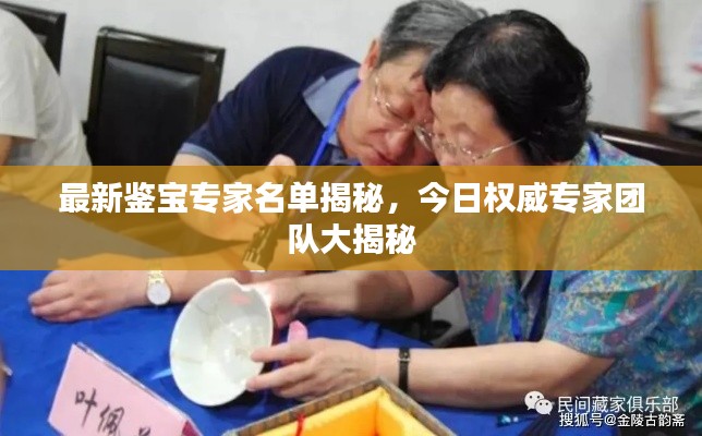 最新鉴宝专家名单揭秘，今日权威专家团队大揭秘