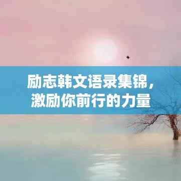 励志韩文语录集锦，激励你前行的力量