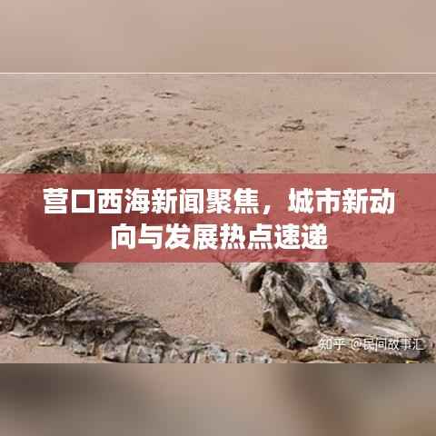 富贵功名 第4页