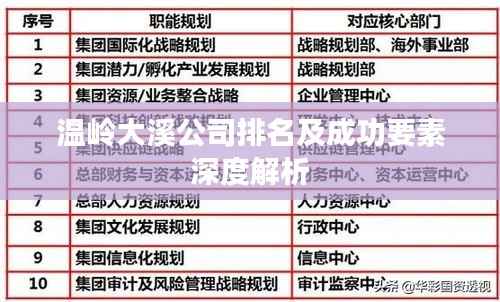 温岭大溪公司排名及成功要素深度解析