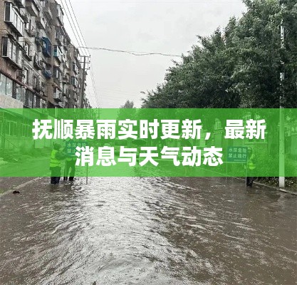 抚顺暴雨实时更新，最新消息与天气动态