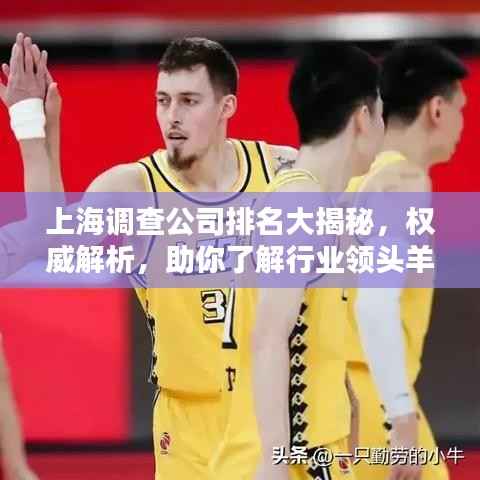 上海调查公司排名大揭秘，权威解析，助你了解行业领头羊！