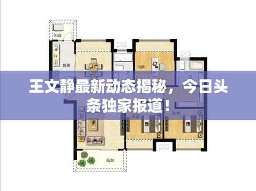 王文静最新动态揭秘,今日头条独家报道!