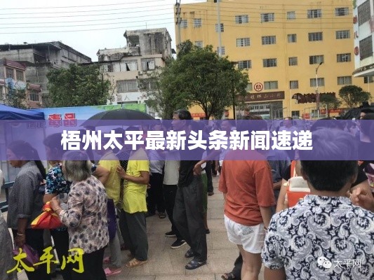 梧州太平最新头条新闻速递