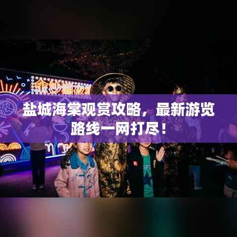 盐城海棠观赏攻略，最新游览路线一网打尽！