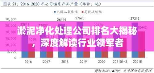淤泥净化处理公司排名大揭秘，深度解读行业领军者