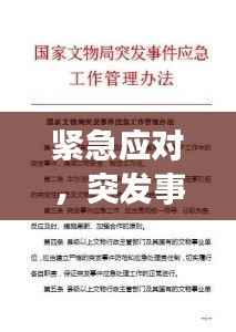 紧急应对，突发事件处理策略与应急处理指南