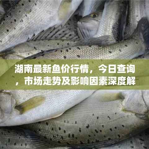 半新不旧 第4页