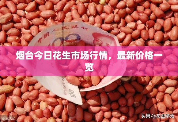 烟台今日花生市场行情，最新价格一览
