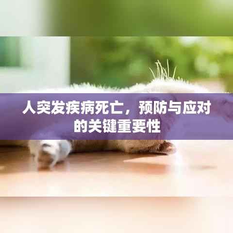 人突发疾病死亡，预防与应对的关键重要性