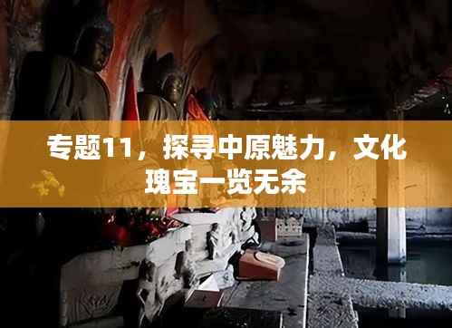 专题11，探寻中原魅力，文化瑰宝一览无余