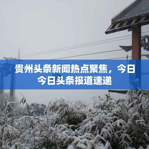 贵州头条新闻热点聚焦，今日今日头条报道速递