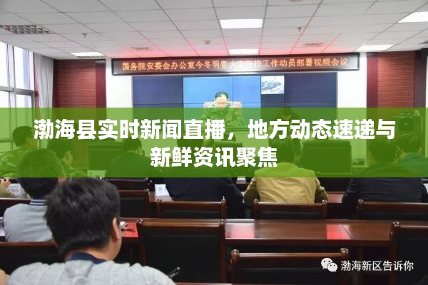 渤海县实时新闻直播，地方动态速递与新鲜资讯聚焦