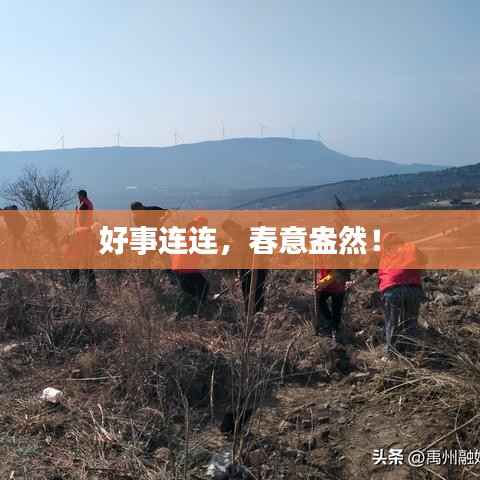 好事连连,春意盎然!