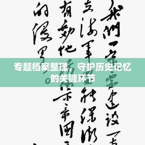 专题档案整理，守护历史记忆的关键环节