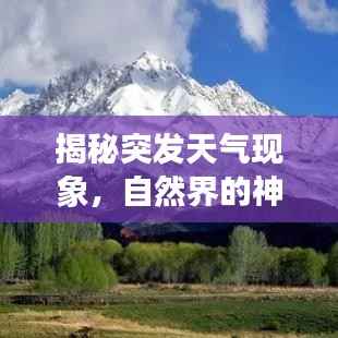 揭秘突发天气现象，自然界的神秘面纱揭晓