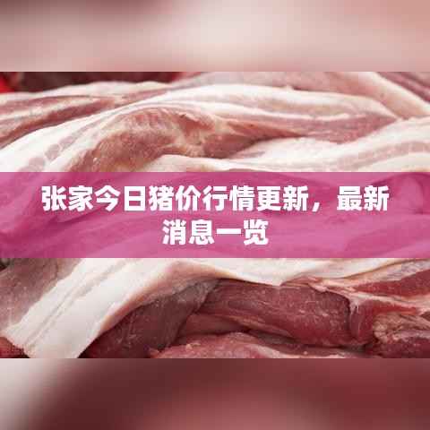 张家今日猪价行情更新，最新消息一览