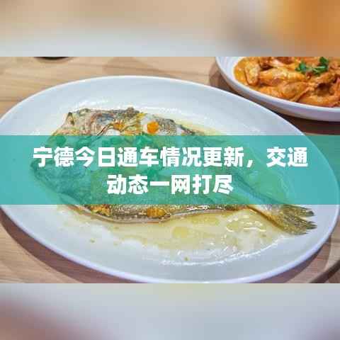 宁德今日通车情况更新，交通动态一网打尽