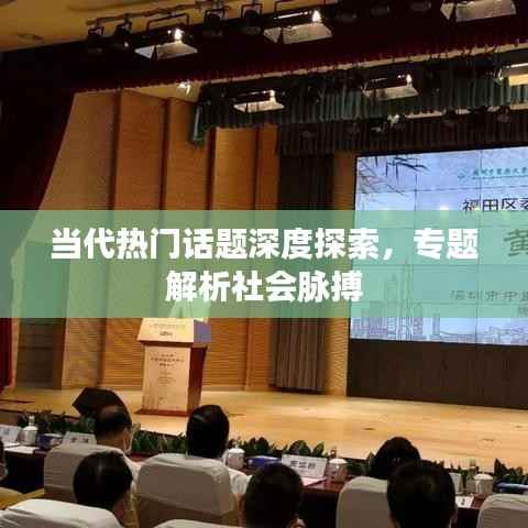 当代热门话题深度探索，专题解析社会脉搏