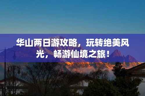 昙花一现 第4页