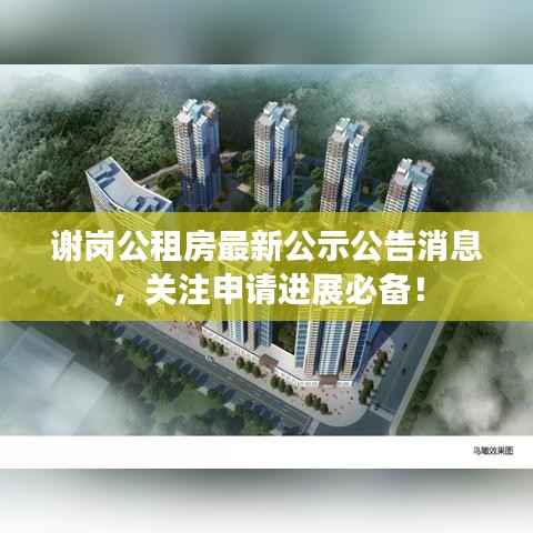 谢岗公租房最新公示公告消息，关注申请进展必备！