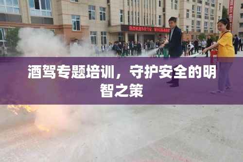 酒驾专题培训，守护安全的明智之策