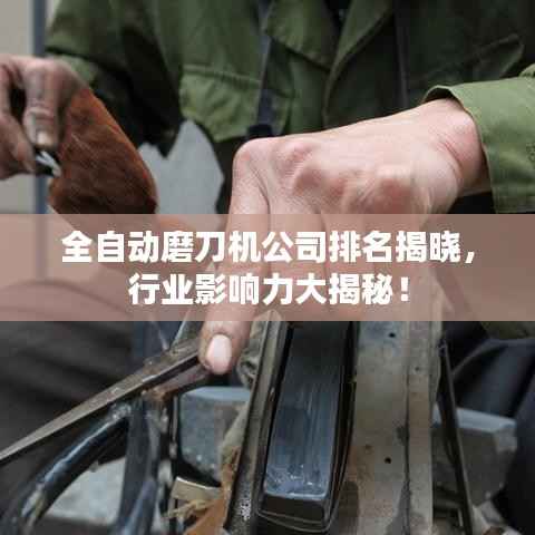 飞珠溅玉 第4页